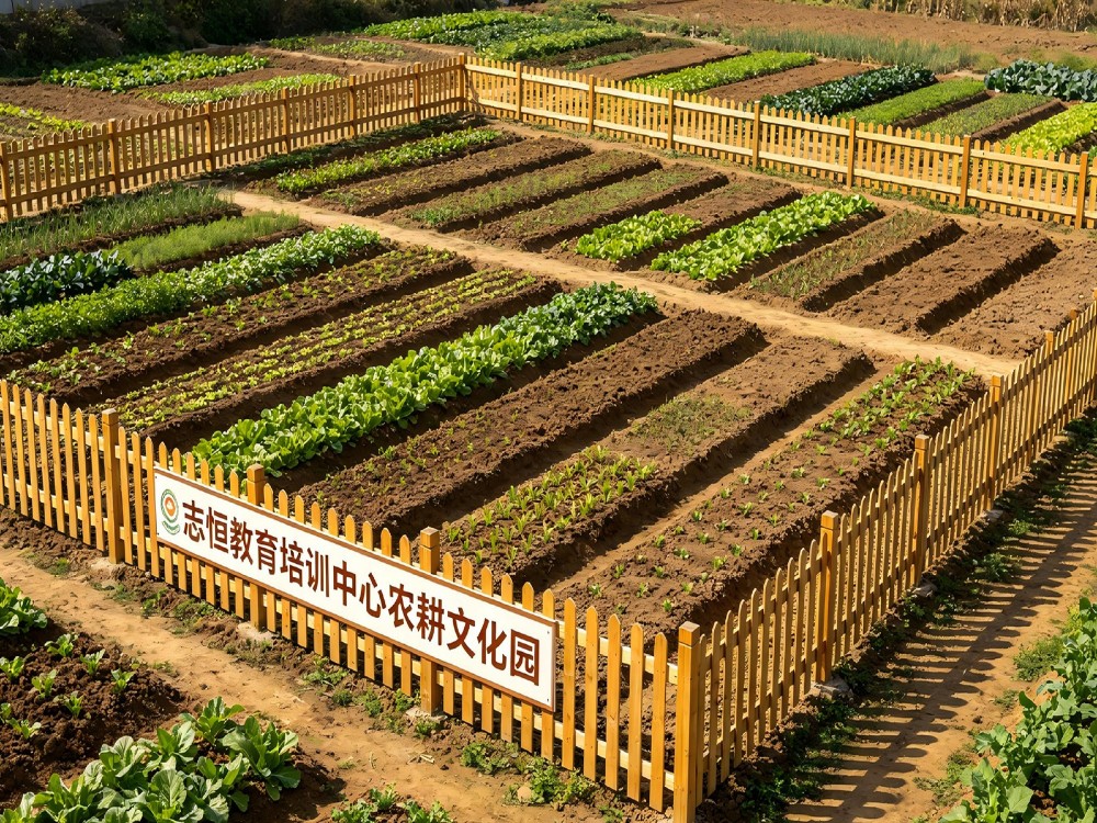 郑州全封闭教育学校怎么选?从办学资质到管理模式的全方位考察指南